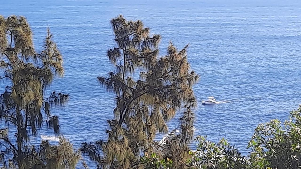 Chambre Vue Sur Mer Entre Grande Anse Et Manapany Petite Île Екстериор снимка