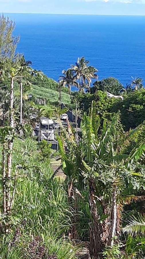Chambre Vue Sur Mer Entre Grande Anse Et Manapany Petite Île Екстериор снимка